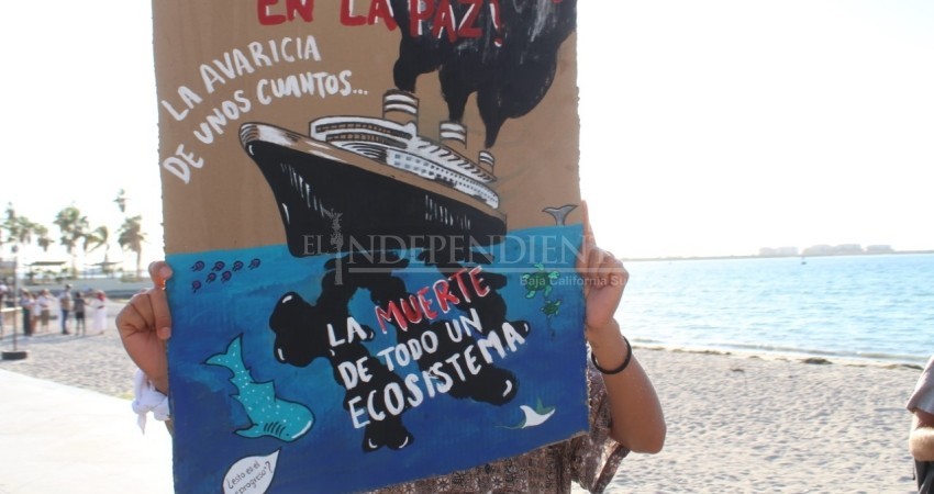 Reúnen firmas para sacar a los Cruceros de la Bahía de La Paz
