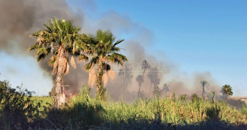 Se incendia el estero de San José del Cabo