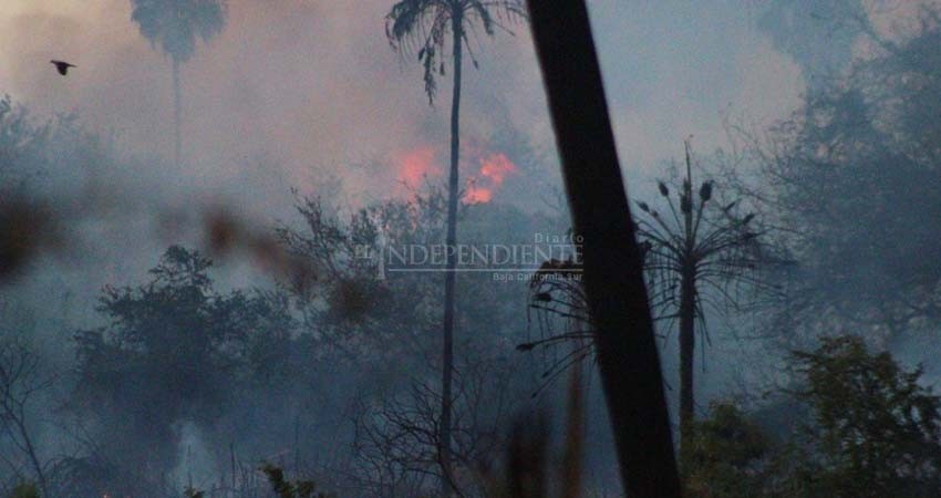 ¡Otra vez! Arde en llamas el estero josefino