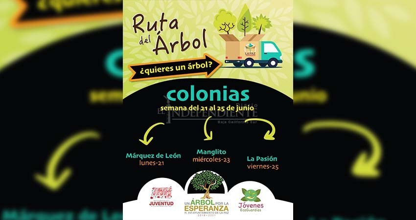 Regresa la “Ruta del Árbol”, seguirán reforestando La Paz