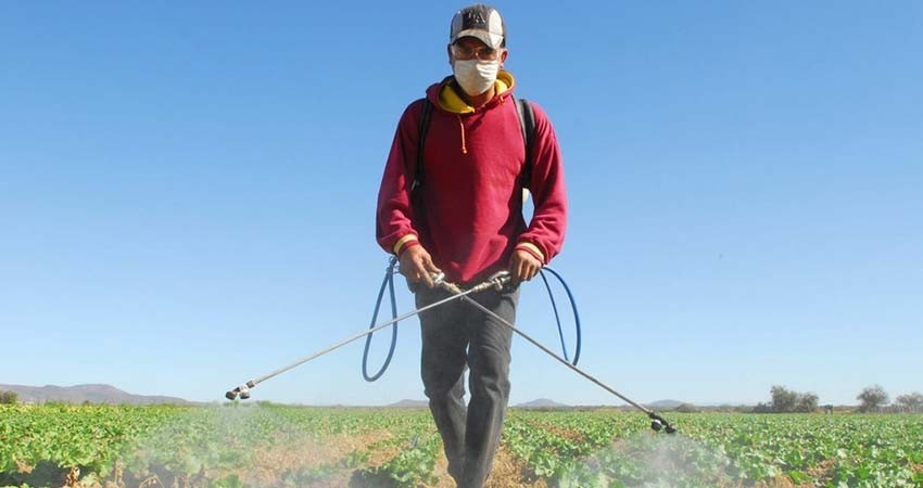 Reconoce la red consular de México en EU gestión de SRE por ampliar visas