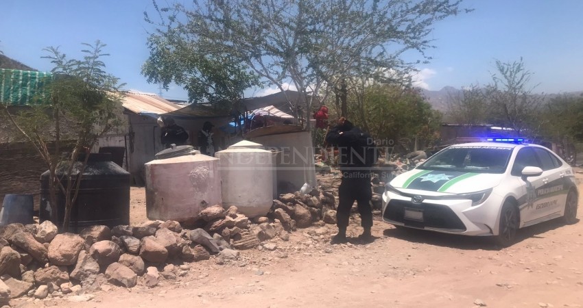 Lo encontraron sin vida en el predio que cuidaba