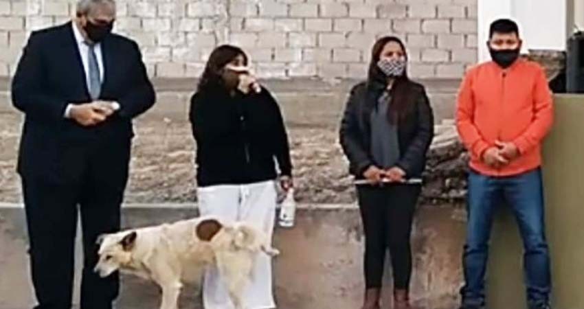 Perrito orina pierna de presidenta municipal en Argentina y se hace viral