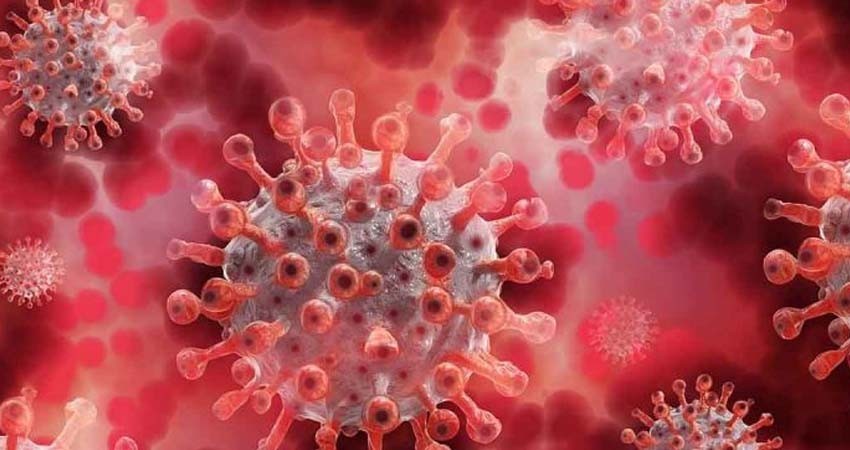 Investigadores desarrollan análisis de sangre que predice eficacia de vacuna covid