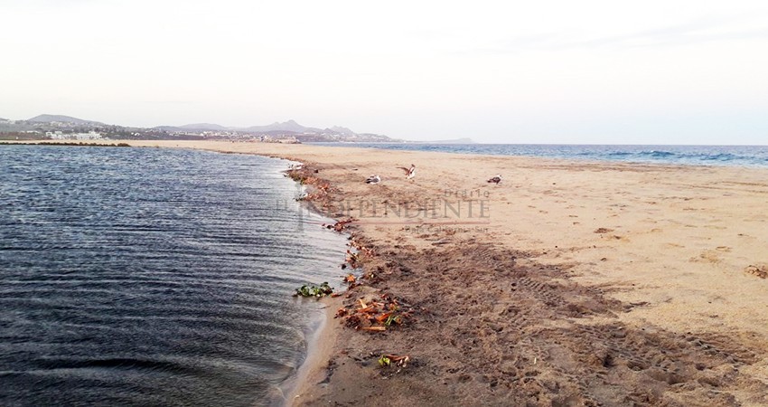 El mar está “brincando” la barra arenosa del estero de SJC