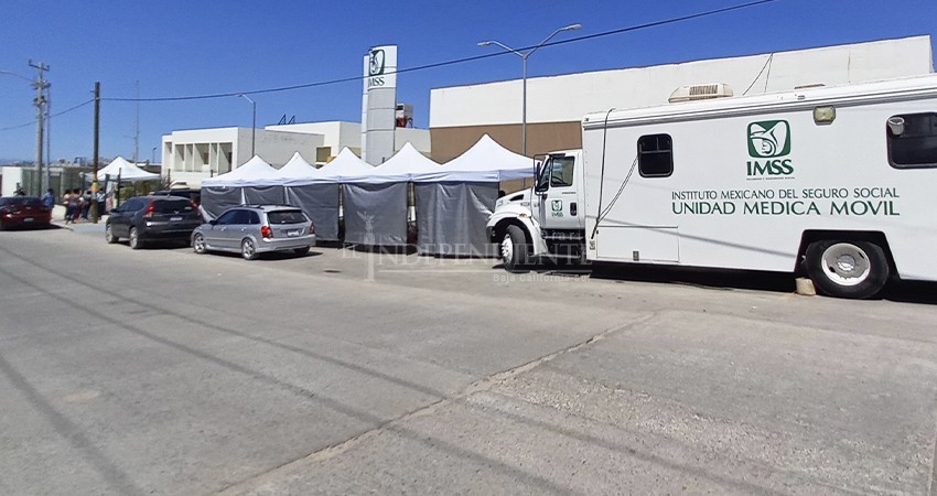 Registra Los Cabos más de 50 defunciones por Covid-19 en una semana