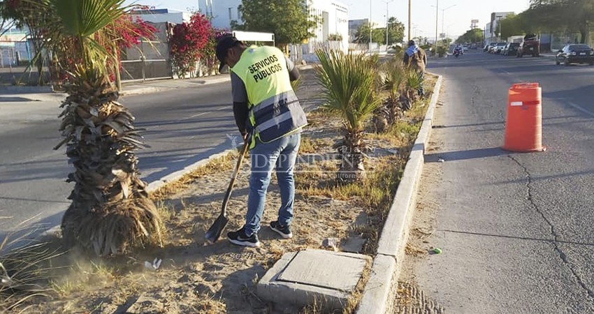 Tercera ola de COVID-19 afecta a recolectores de basura en La Paz