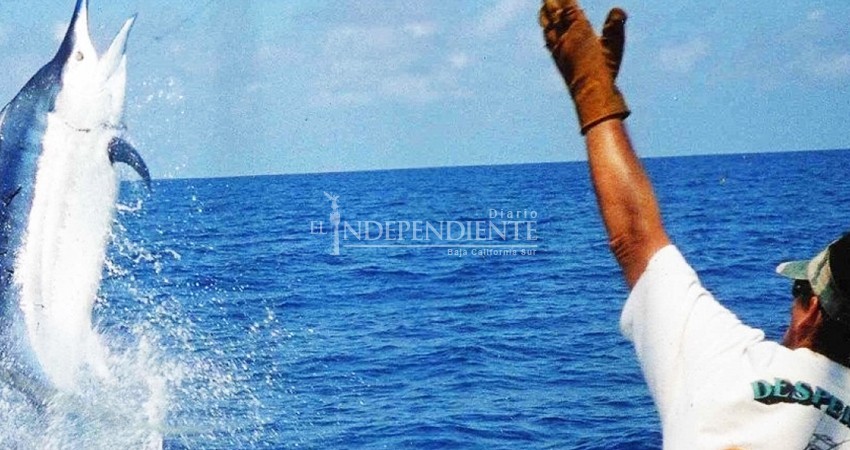 Pesca Deportiva, la actividad de turismo familiar preferida en Los Cabos