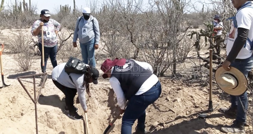 En lo que va del año, han desaparecido más de 50 personas en BCS