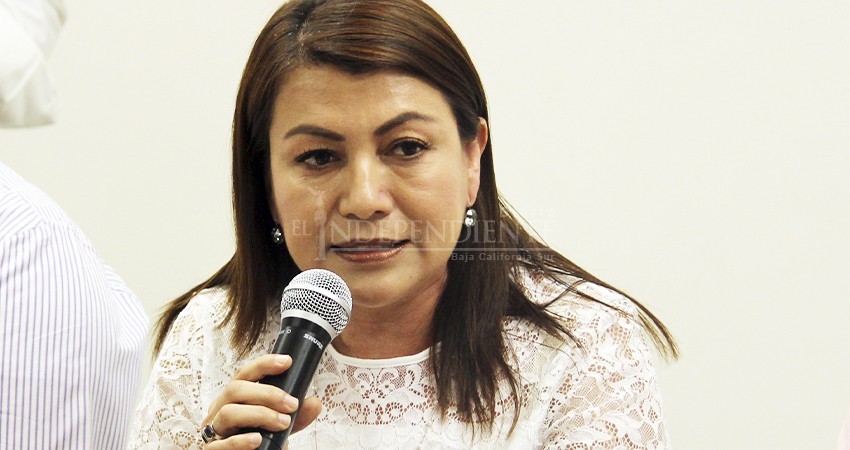La consulta es una farsa, se debe aplicar la ley sin importar militancia: Lupita Saldaña