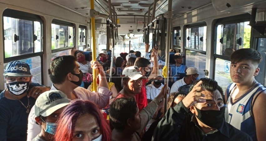 Sólo para en fotos se respetan las medidas sanitarias en el transporte público
