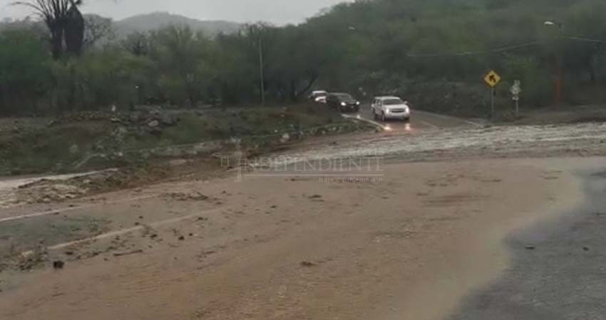 Benefician lluvias recientes al sector agropecuario de BCS