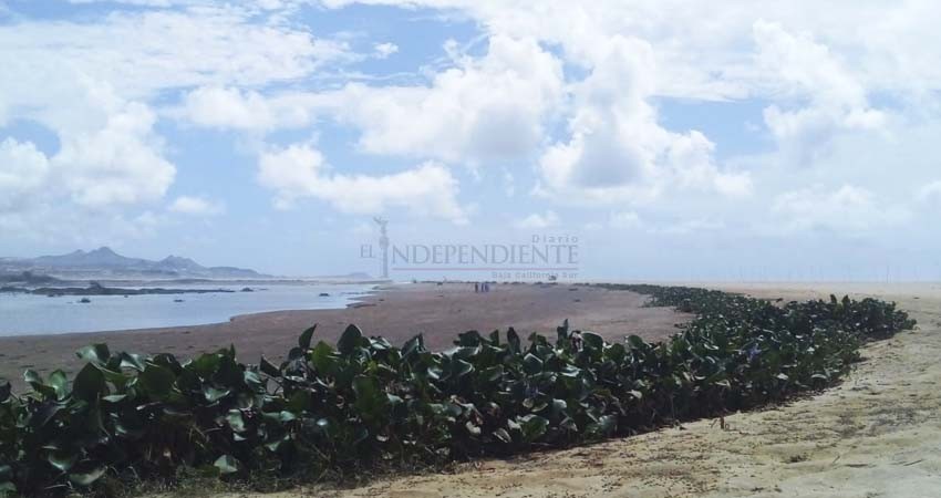 Se abrió la barra arenosa del Estero de SJC