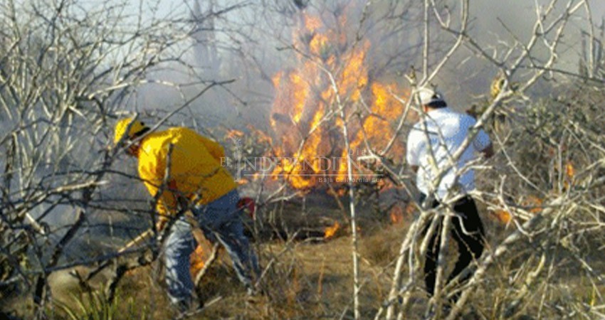 Llama Bomberos a prevenir incendios de basura y pastizales