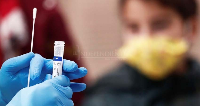 Empresarios motivan a realizar pruebas PCR a trabajadores