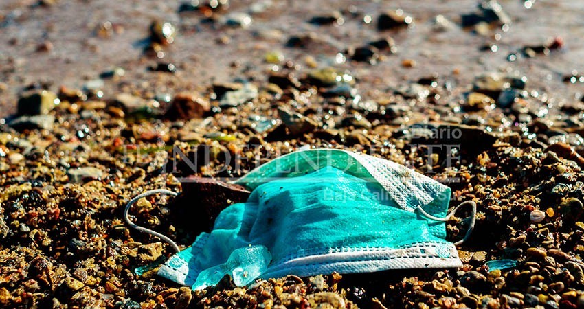 Se amparan para que el Ayuntamiento retome la “ley de desplastíficación”