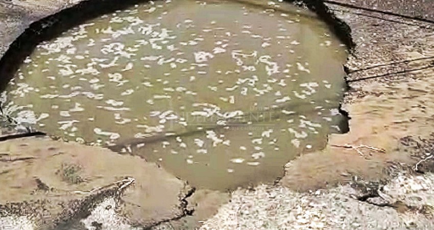 Drenaje colapsado provoca socavón en el centro y contaminación en la Bahía de La Paz