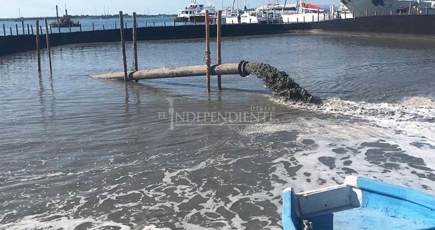 API BCS intenta ganar terreno al mar en El Manglito