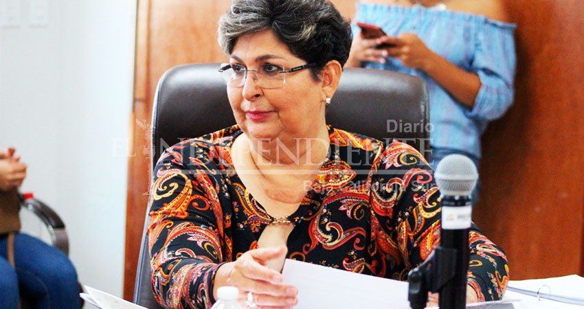 Cabildo se opone a la extinción de la red para la protección contra la tortuga marina