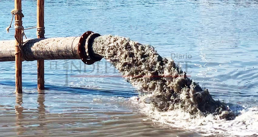 Dragados de API afectan acuicultura sustentable en la ensenada de La Paz: Cooperativa