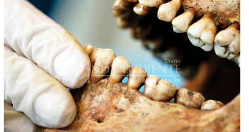 PGJE cuenta con perfil genético de todos los cuerpos en panteón forense