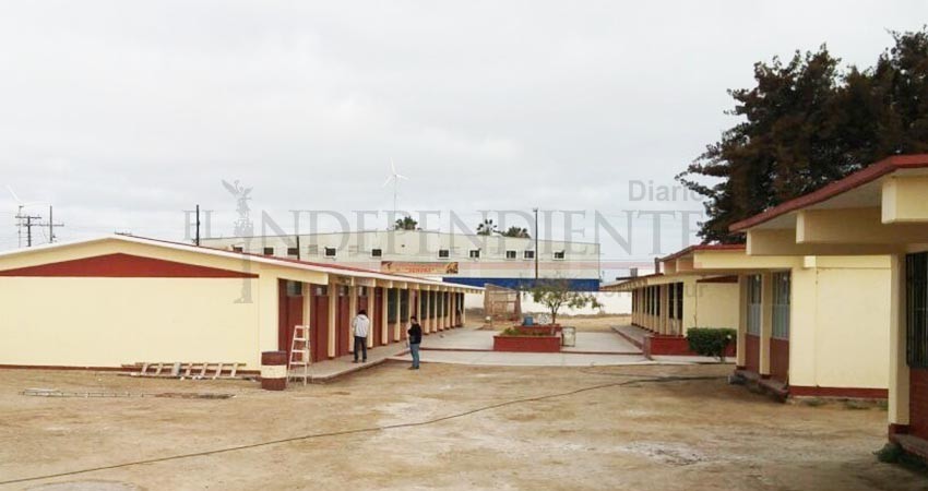 “Soy profesora de primer grado y sí quiero regresar a clases”