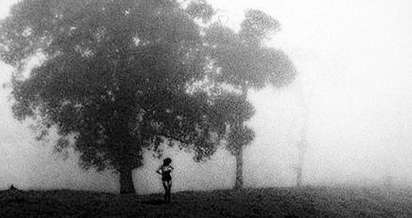 El Centro Manuel Álvarez Bravo festeja 25 años con muestra de Weinstock