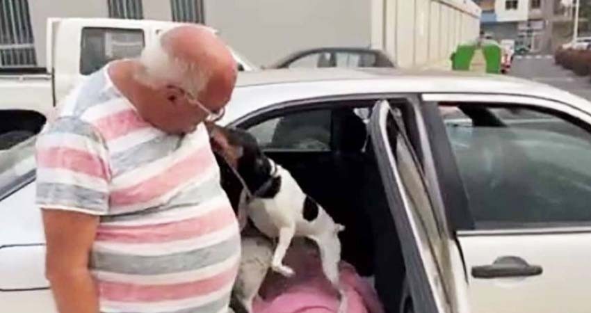 'Sin ellos no me voy': hombre duerme en coche para no dejar a perritos en erupción