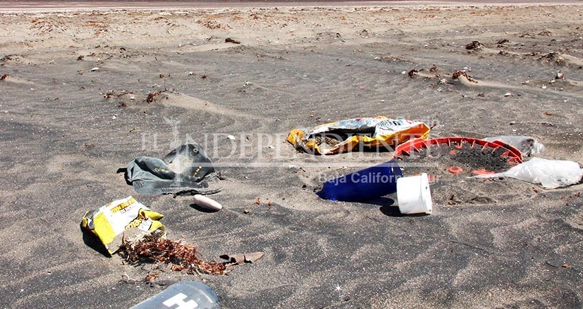 Tras el paso de Olaf, se han retirado de playas cabeñas al menos 600 bolsas plásticas