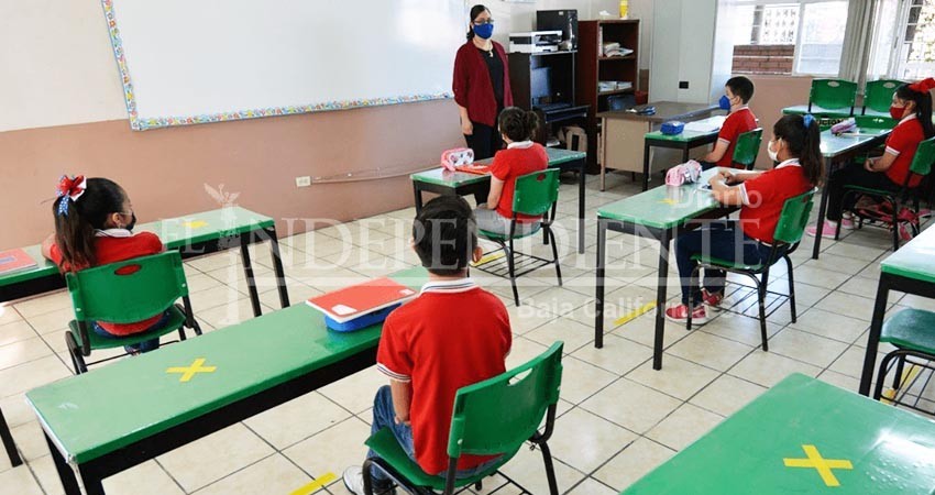 Piden maestros de BCS homologación del bono de vida cara