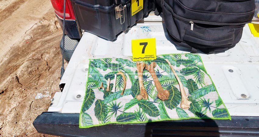 Colectivos de Búsqueda localizan 7 osamentas humanas en El arroyo aguajitos