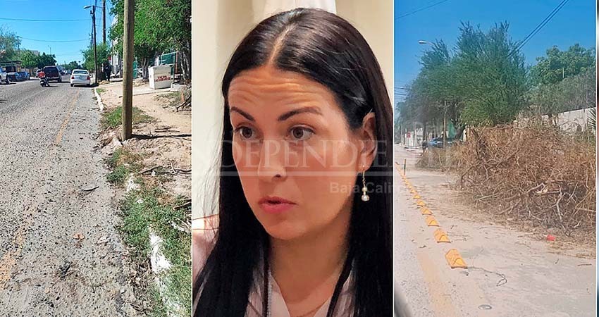 Pide Milena Quiroga solidaridad de los paceños para limpiar La Paz