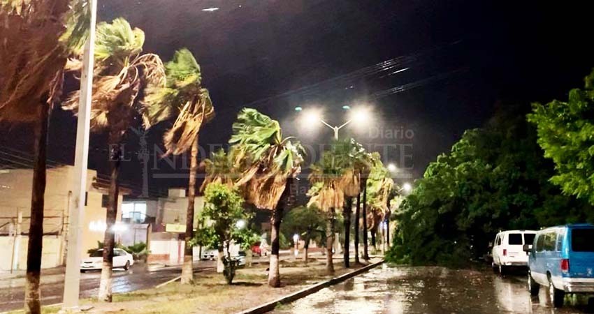 A un mes del impacto de Olaf, BCS aún no recibe recursos de la federación