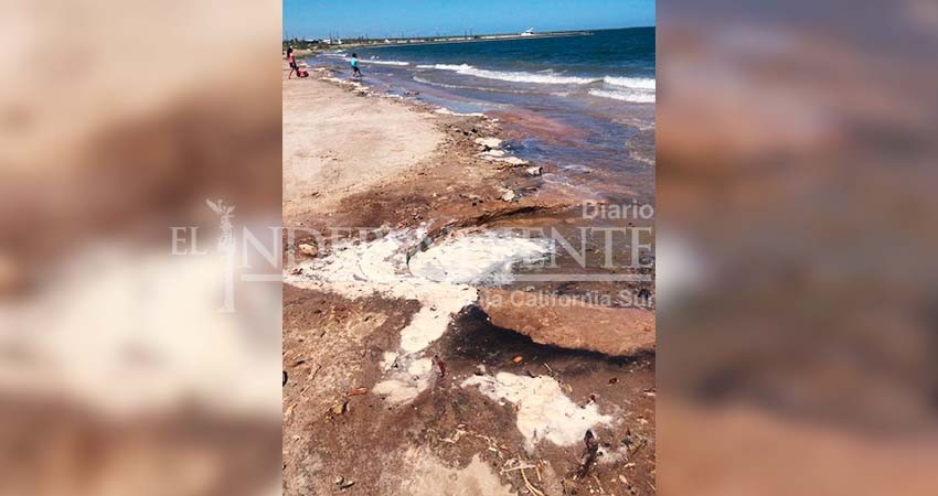 Derrame de diésel en El Comitán requirió la remoción de 4 tons. de suelo costero contaminado: ZOFEMAT