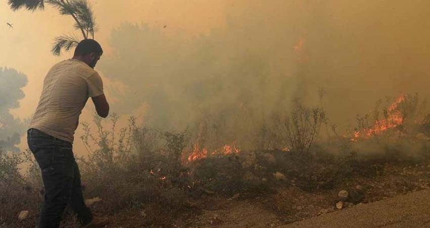 Siria ejecuta a 24 personas por haber provocado incendios en 2020