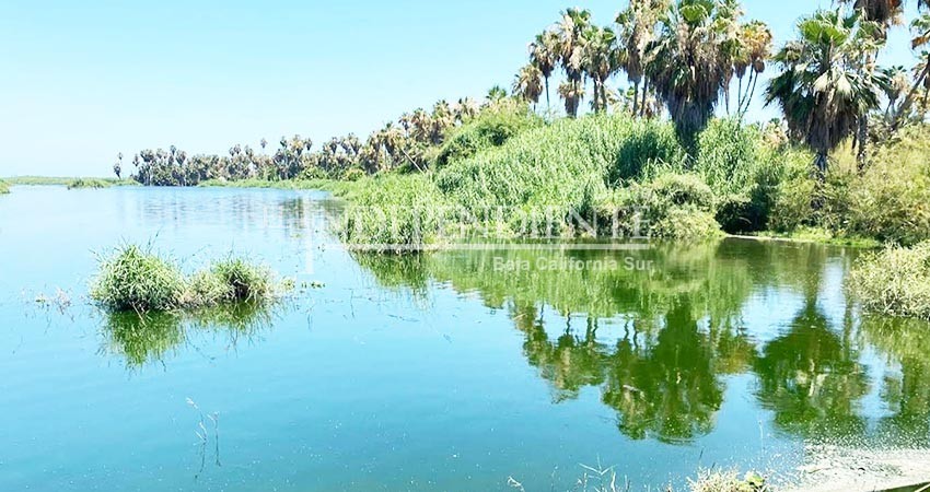 Se instaló el Consejo Asesor del Estero Josefino; hay al menos 7 proyectos a desarrollarse para el 2022