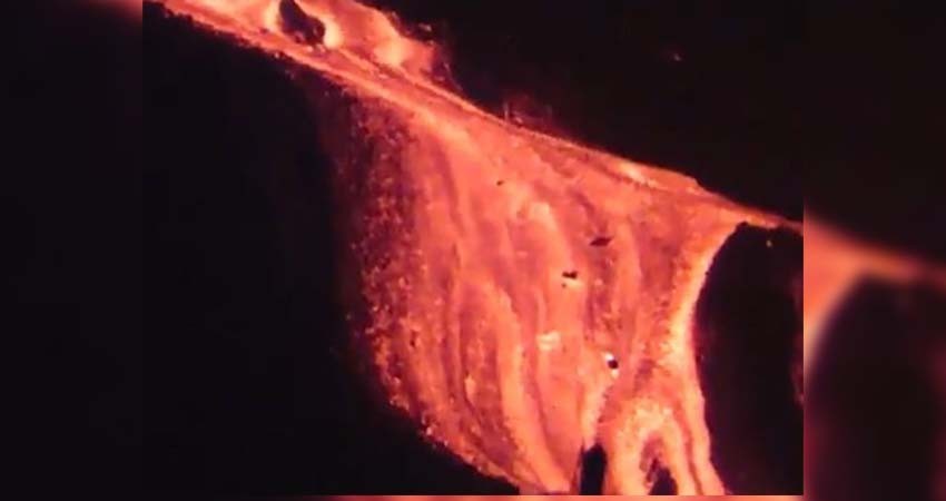 Colapsa ladera de volcán de La Palma y genera nuevo río de lava