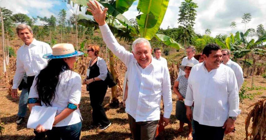 López Obrador: pacto de COP26 sobre reforestación, inspirado en Sembrando Vida