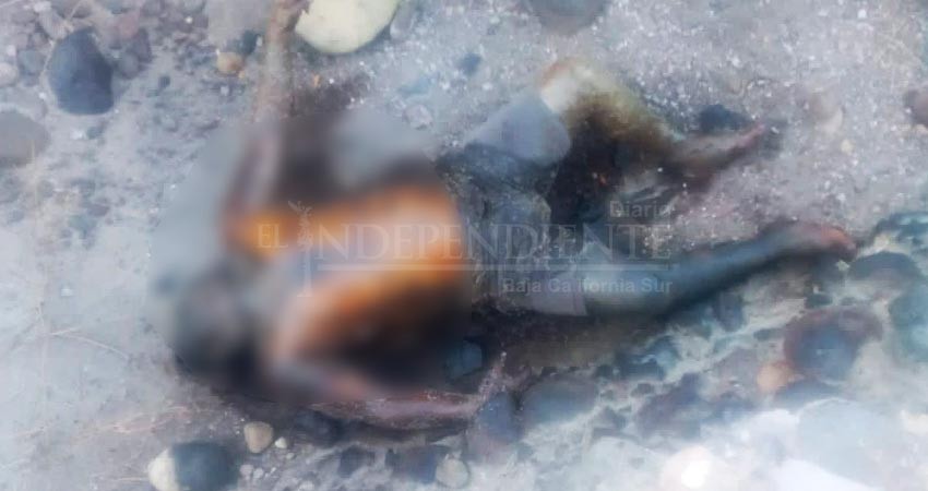 Encuentran cuerpo sin vida detrás del cerro de la calavera