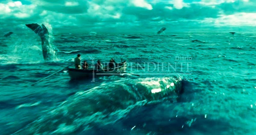 Tribu norteamericana busca legalizar su derecho a cazar Ballenas sudcalifornianas