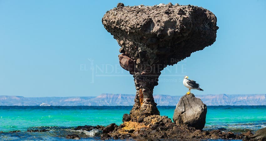 Reconocen a Balandra como la mejor playa de México