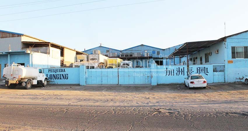 Junta de Conciliación difiere audiencia de calamareras, vuelve ausentarse empresa coreana