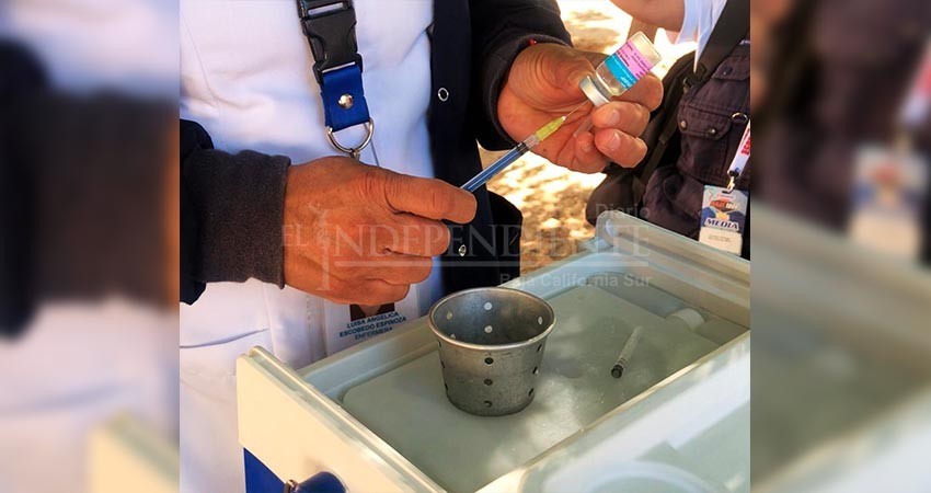 Aplican vacuna contra la influenza a grupos vulnerables