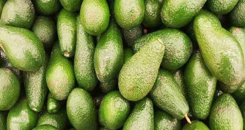 Recibe APEAM reconocimiento por ser un modelo de clase mundial