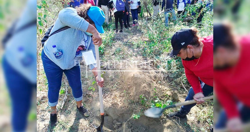 Continúa en BCS la Brigada Nacional en busca de personas desaparecidas