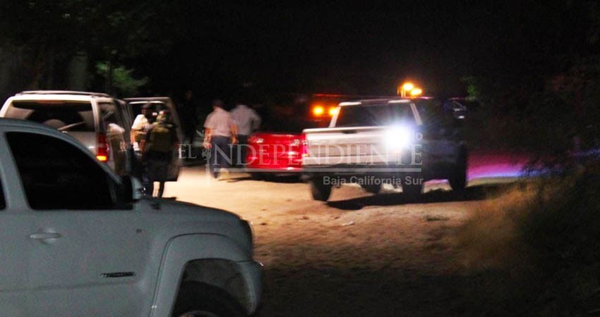 Sube a 6 el número de muertos por atropellamiento en Wisconsin