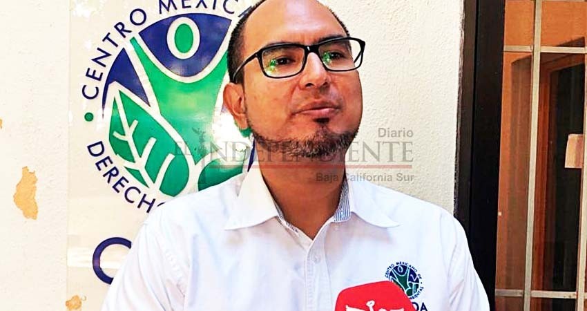 Pide CEMDA consulta pública para MIA del muelle para megacruceros en Pichilingue