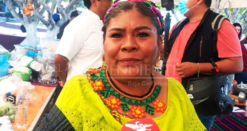 Va muy bien el cabildeo sobre la Ley indígena: Eufrocina López