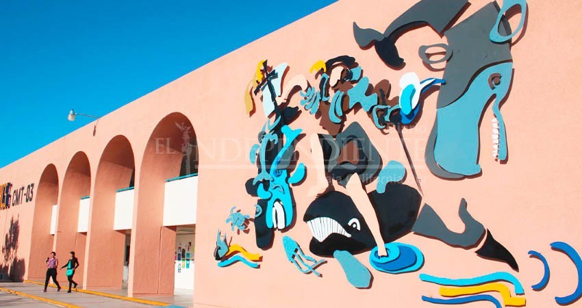 Hoy miércoles, UABCS publica los resultados de admisión a Biología Marina