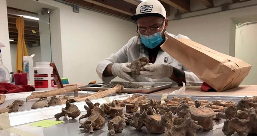 Recupera el INAH entierros del siglo XIX en panteón de San Fernando